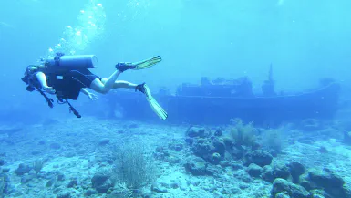 Thumbnail image for blog post: Introduction to Scuba Diving at Tugboat Beach Thumbnail image for blog post: Introduction to Scuba Diving at Tugboat Beach